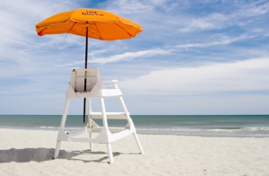 iStock_000003174281Large.jpg