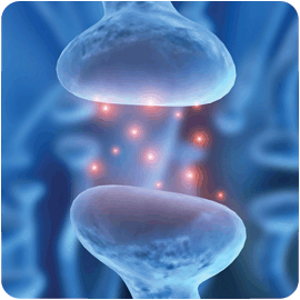 neurotransmitter_home.gif