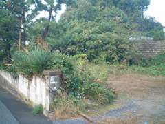 DSCF0008_m.jpg
