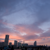 DSC_0043.png